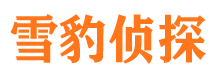 若羌外遇调查取证